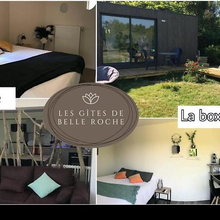 Les Gites De Belle Roche Mâcon Esterno foto